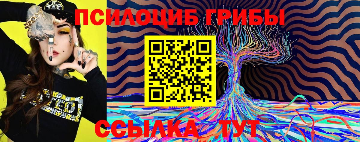 Галлюциногенные грибы GOLDEN TEACHER Богородицк