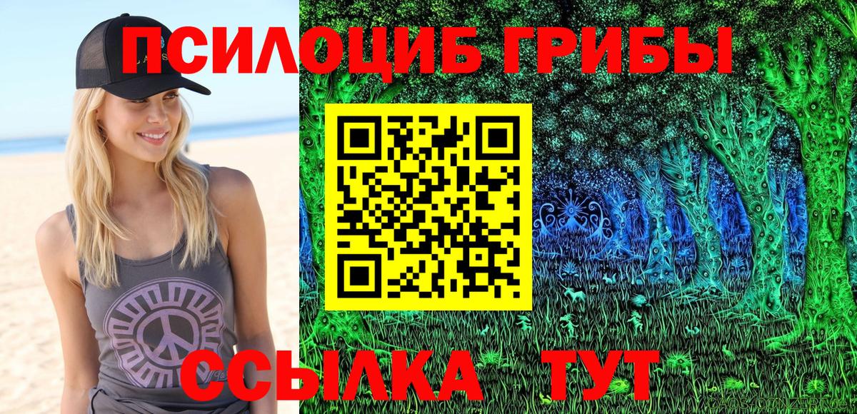 Галлюциногенные грибы прущие грибы  Псилоцибиновые грибы Magic Shrooms  где купить   Вход с VPN  Богородицк 